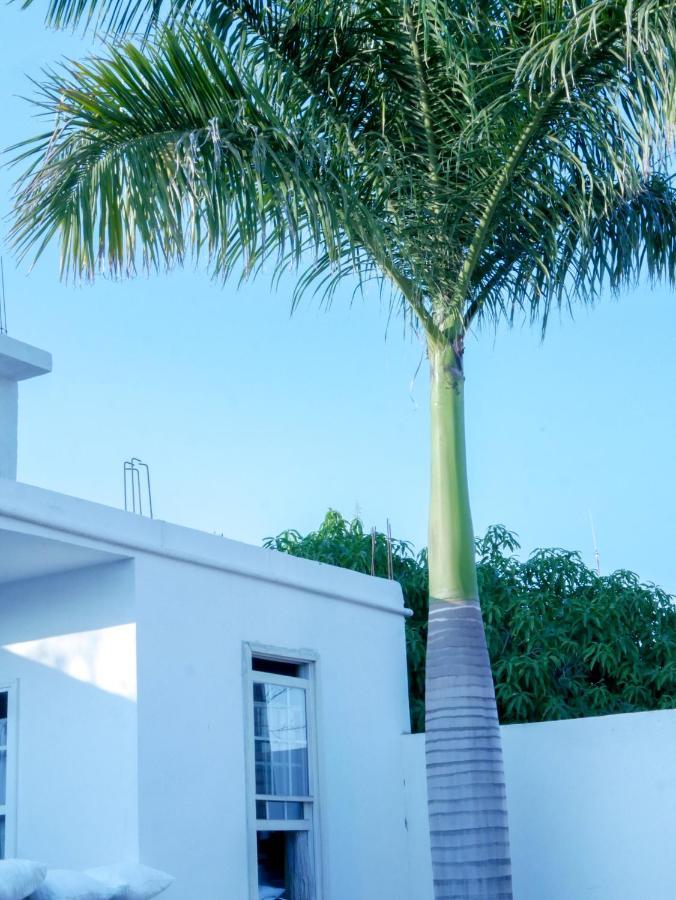 Hotel La Huerta Rio Verde Exterior photo
